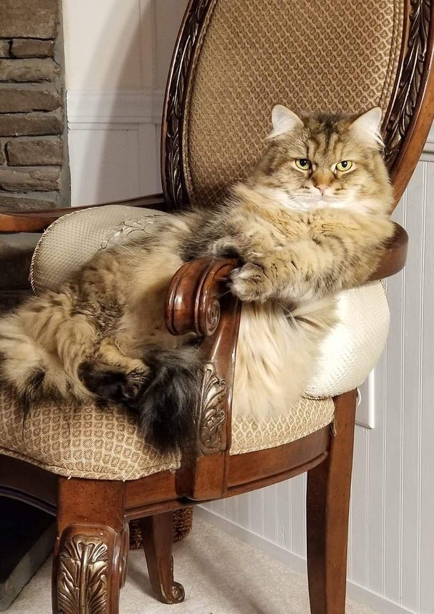 Источник: Яндекс картинки