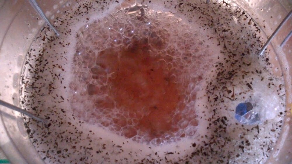 Процесс барботирования семян