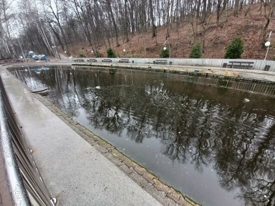 ФОТО: ТГ ЭКОЛОГ36