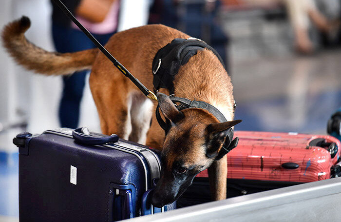    Юрий Смитюк/ТАСС
