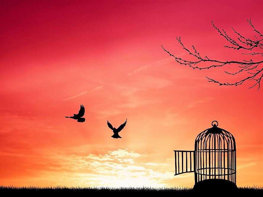 Что такое свобода в реальности.