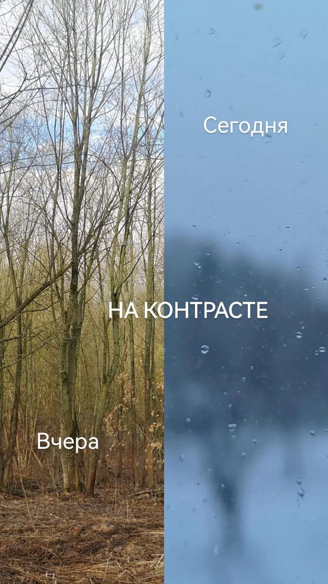 замедлились - резко!!!