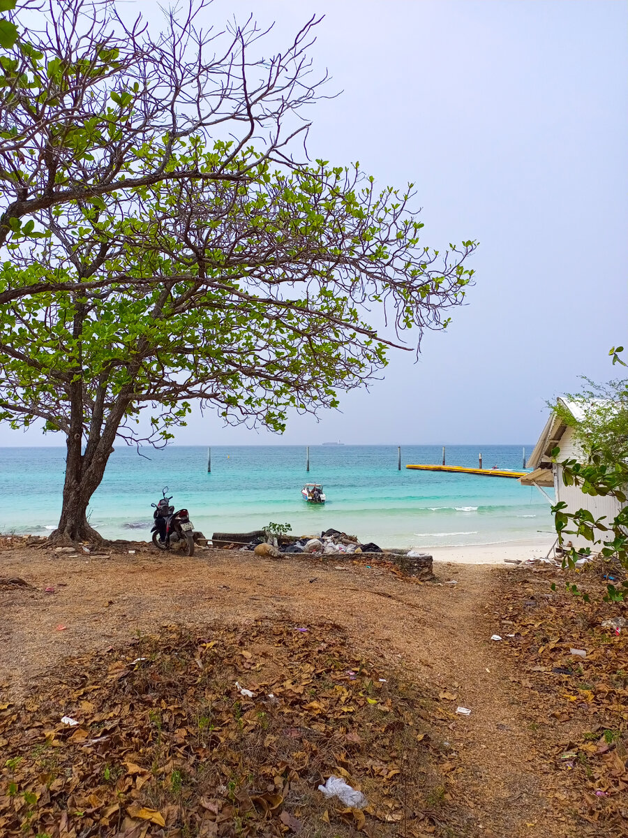 Изображение принадлежит автору канала.