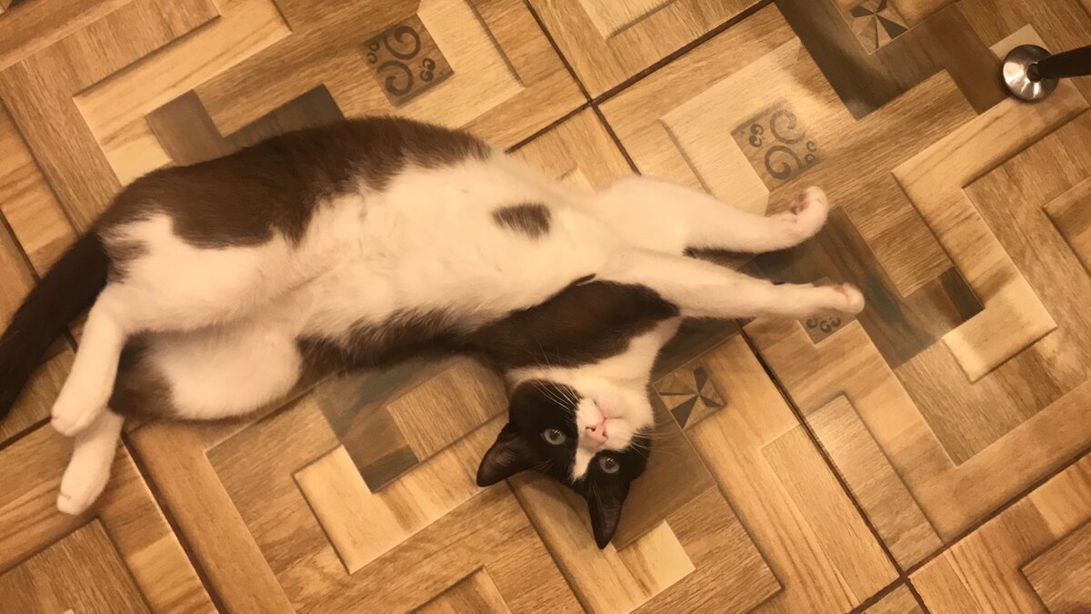 Фото автора