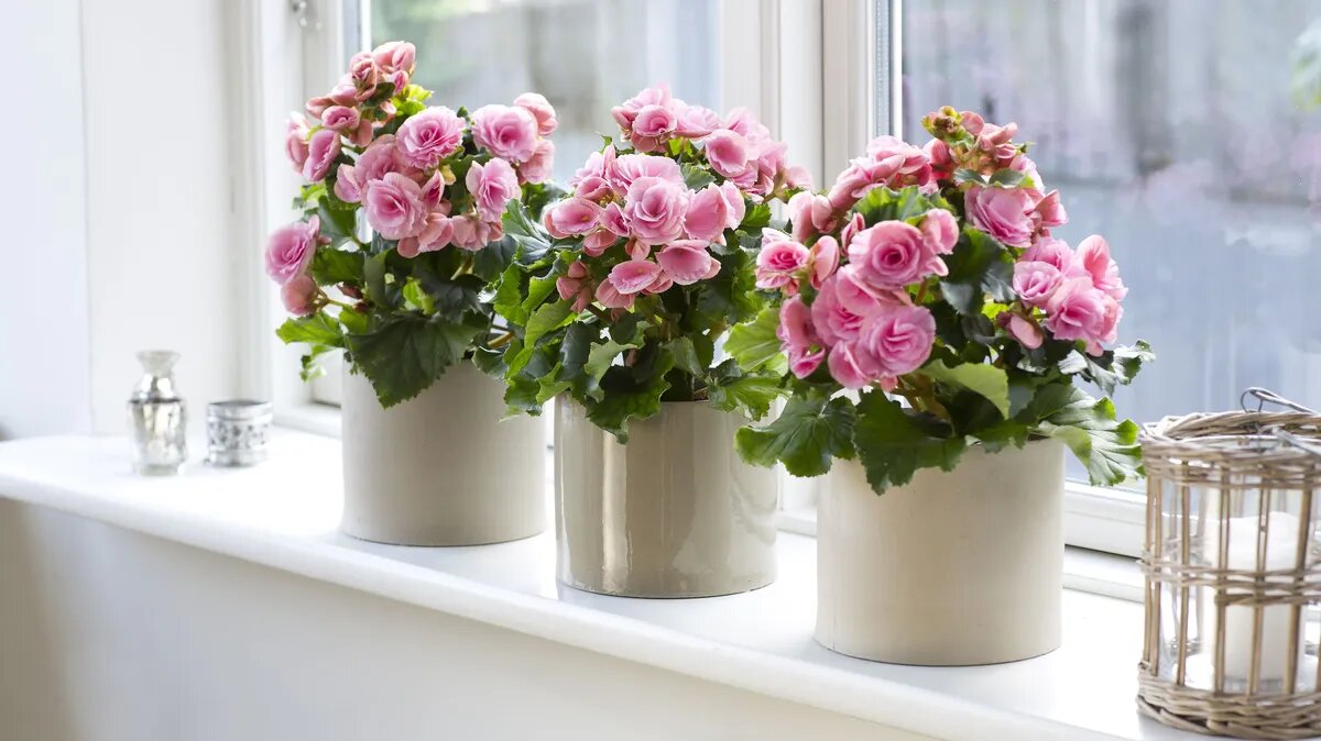 В чистый четверг обязательно проводили уборку в доме. Фото: pxhere.com