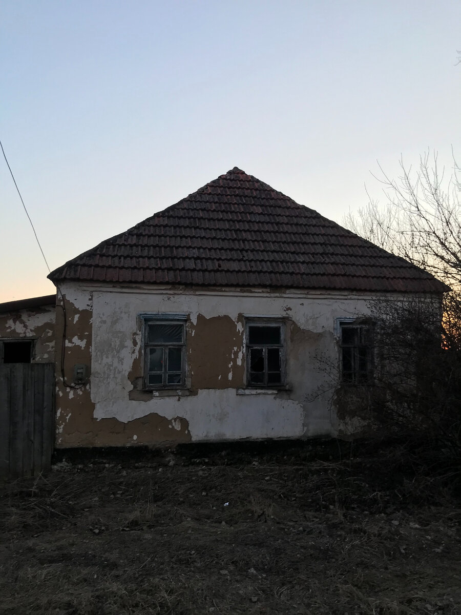 Фото автора. Примерно вот так. Мне всегда безумно их жаль