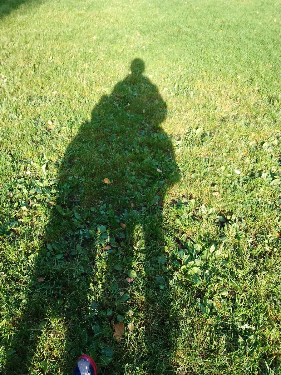 Фото, собственность автора 