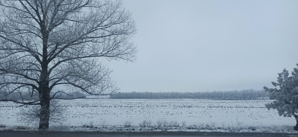 Изображение из личного архива автора