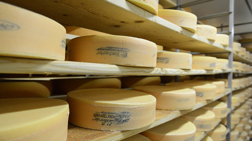 Производство сыров в Подмосковье. Фото для иллюстрации из интернета.