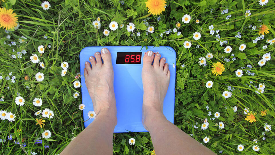 Лучшие умные весы. Фото: pixabay