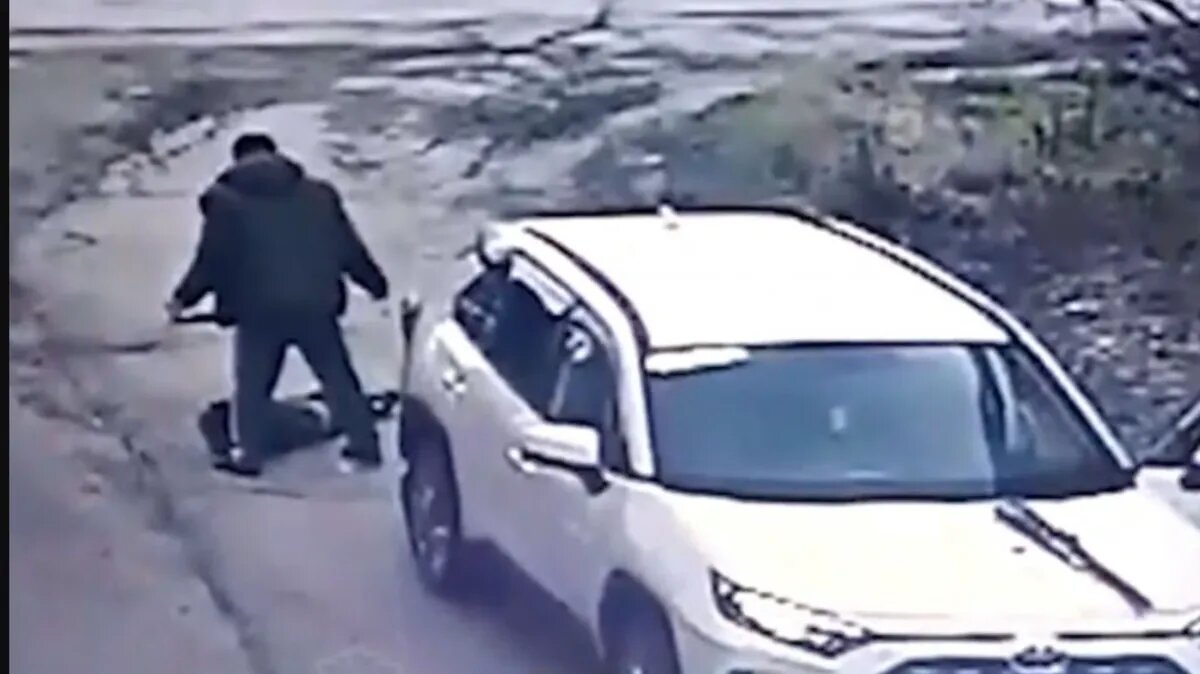 Фото: кадр из записи камеры видеонаблюдения