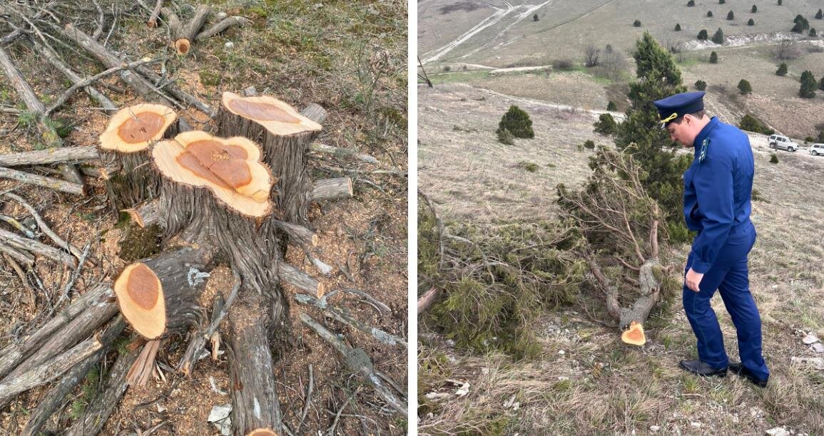 Фото — Азово-Черноморская межрайонная природоохранная прокуратура