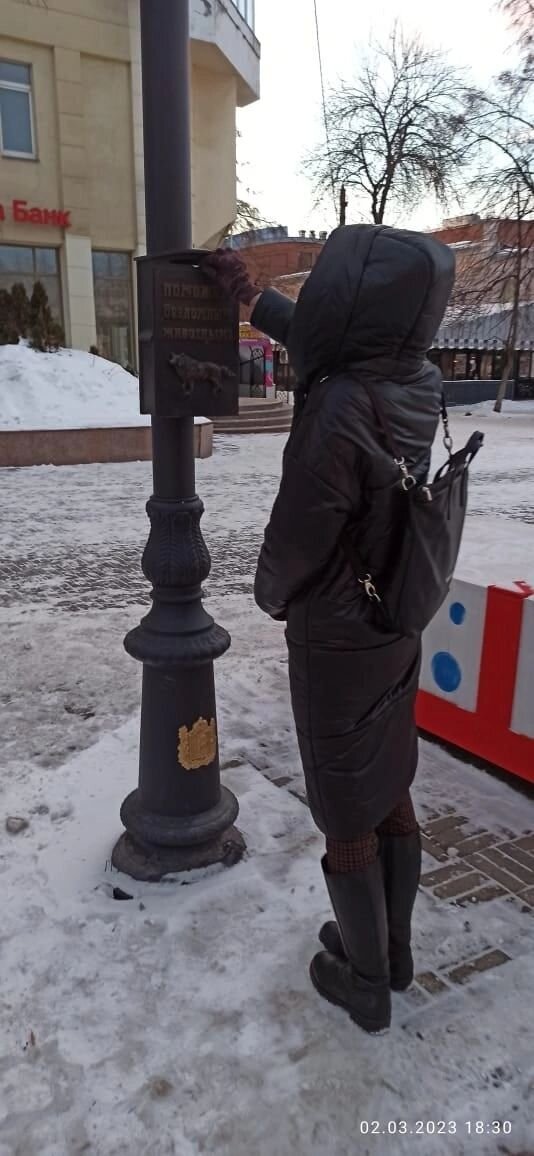 Копилка "Поможем бездомным животным", которая установлена на Кировке г.Челябинска (по онлайн-карте города вы можете найти ее под названием Декоративный объект «Копилка дворняжек»)
