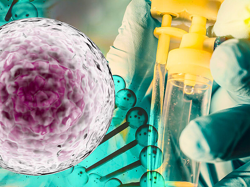 Стволовые клетки 