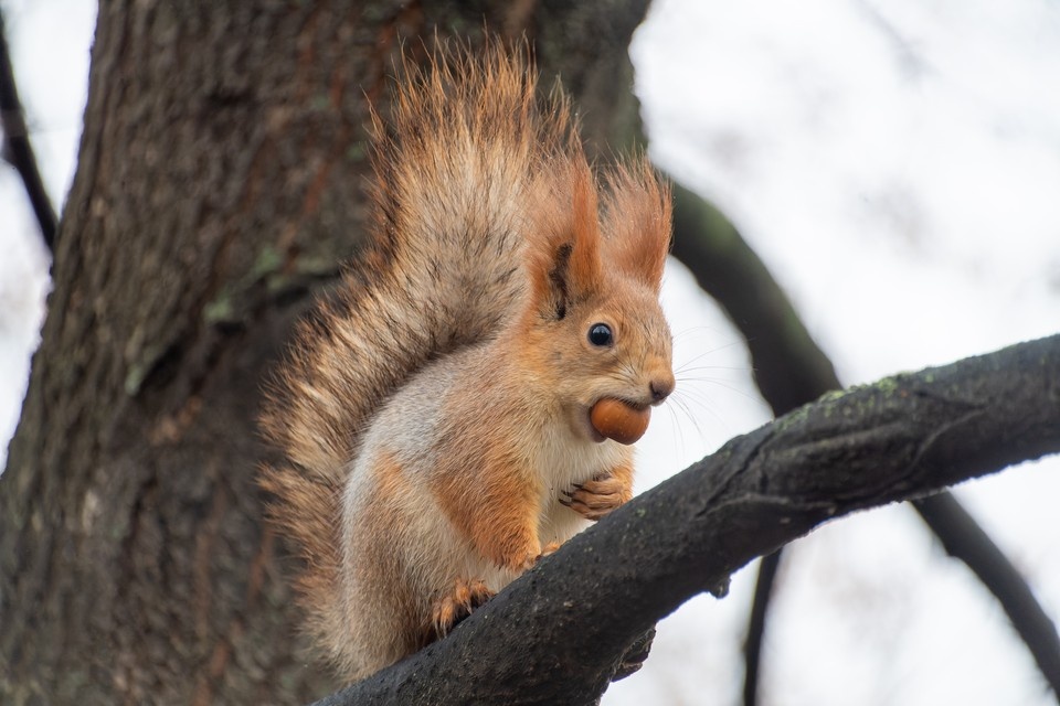     Прогноз для Ижевска на четверг Михаил ФРОЛОВ