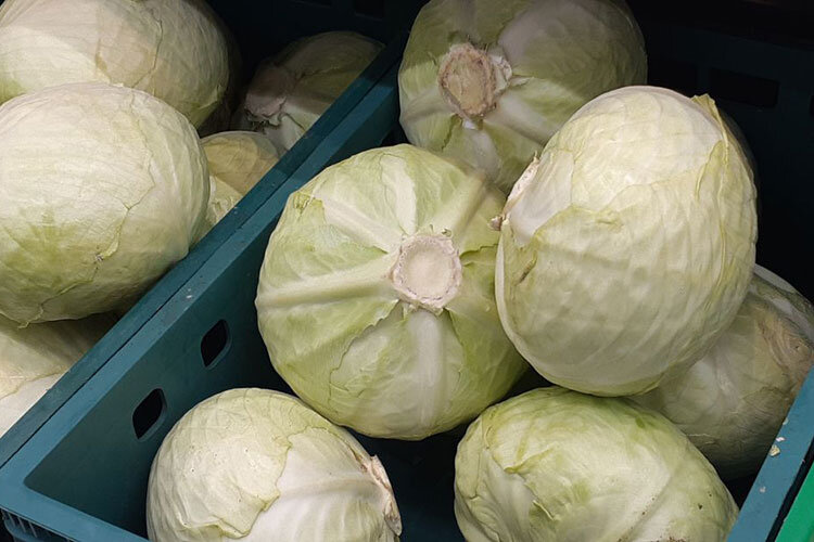 Капуста, которая в марте 2022-го стоила баснословные 62 рубля за кило, сегодня обойдется в 16 рублей по соцценнику Фото: Евгения Иванова