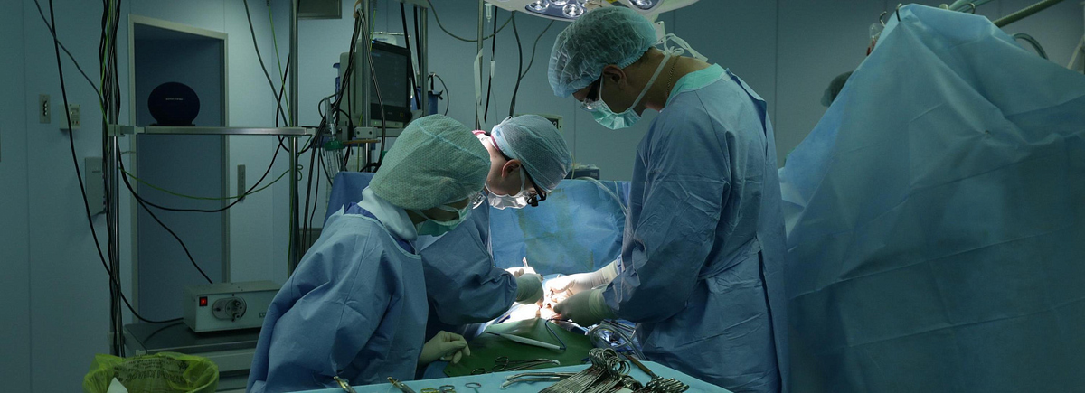 Фото: nsknews.info