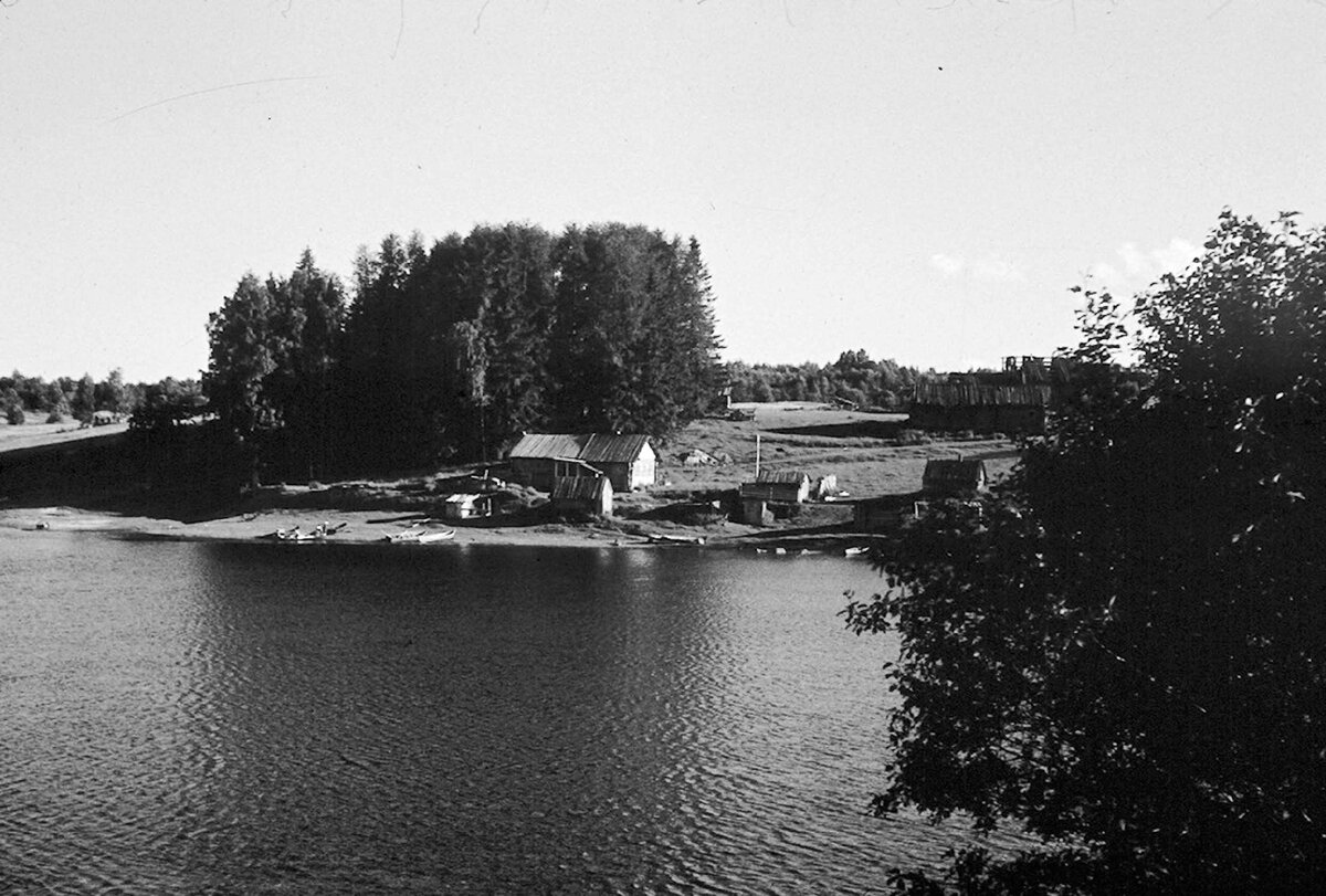 Фото 1974г., автор: Пущина Людмила Николаевна