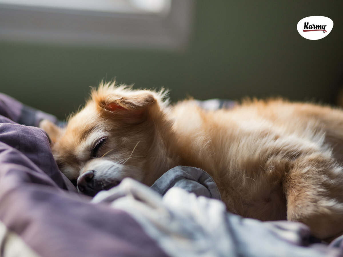 Авторское изображение с использованием картинки с фотостока "Unsplash"