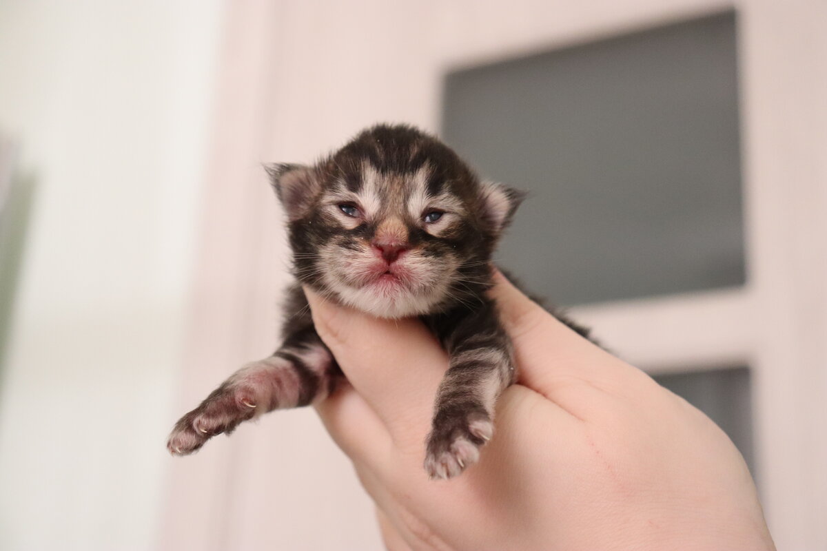 Фото из личного архива.