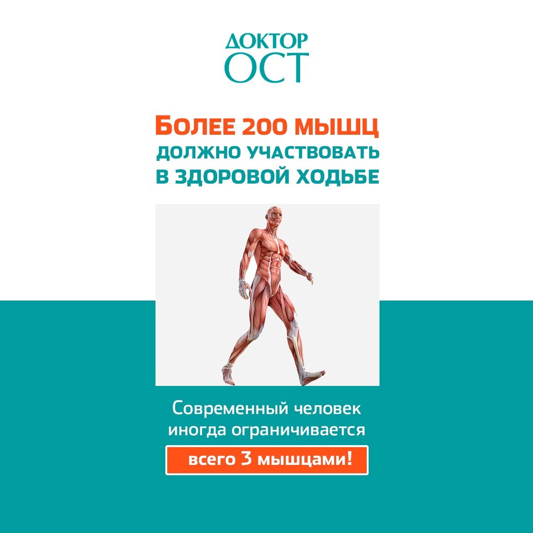 Доктор ост просп октября 69 1 отзывы