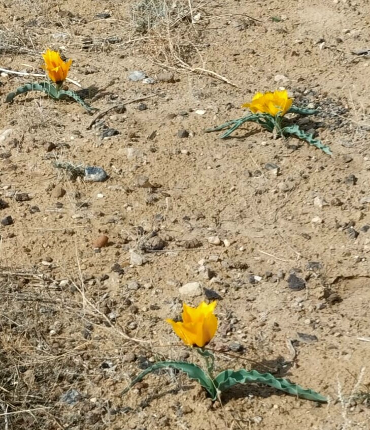 (фото сделано вчера - друзья прислали)