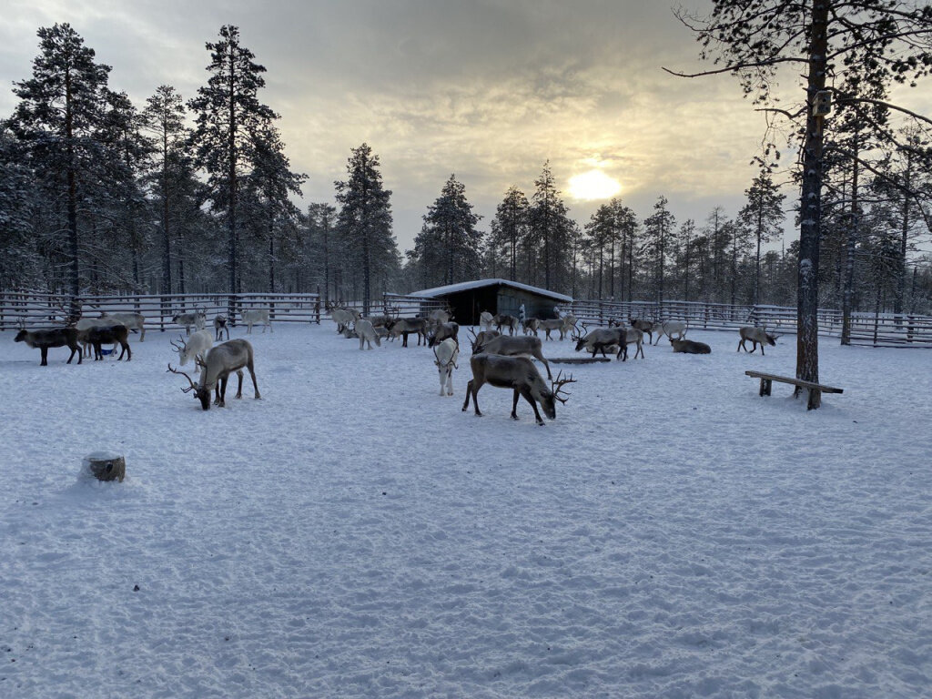 Когалым: снаружи и внутри | Go Arctic | Дзен