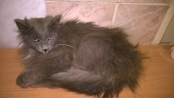 Такой он был.. 