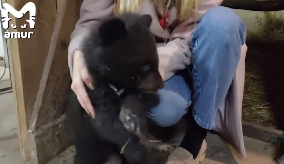 Малыш прекрасно себя чувствует в центре