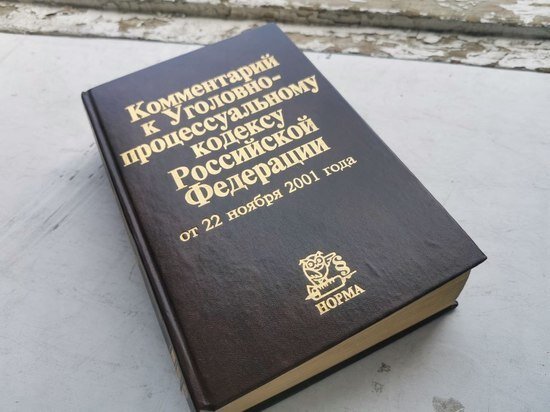    Перемахнула через забор, разбила окно и украла инструменты девушка в Хабаровске / Ольга Григорьева