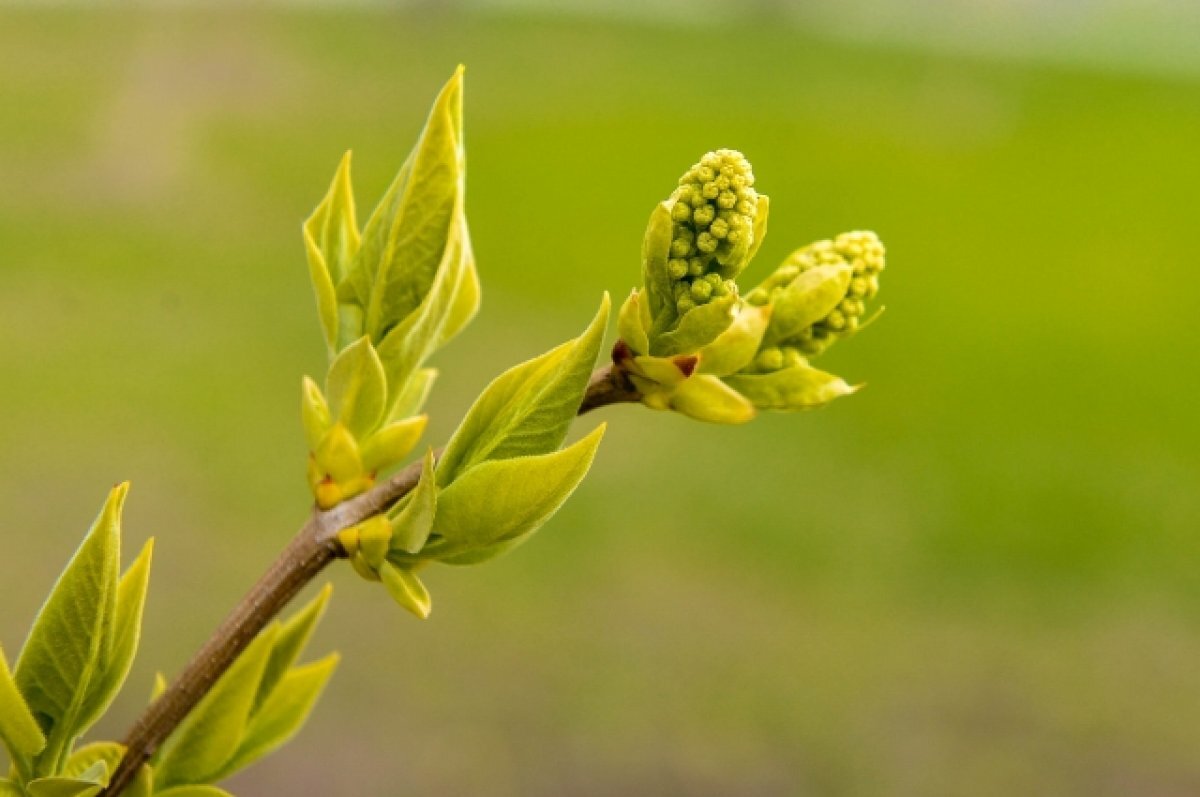    Тульские специалисты ООПТ подвели итоги ушедшей зимы