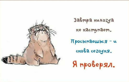 яндекс.картинки