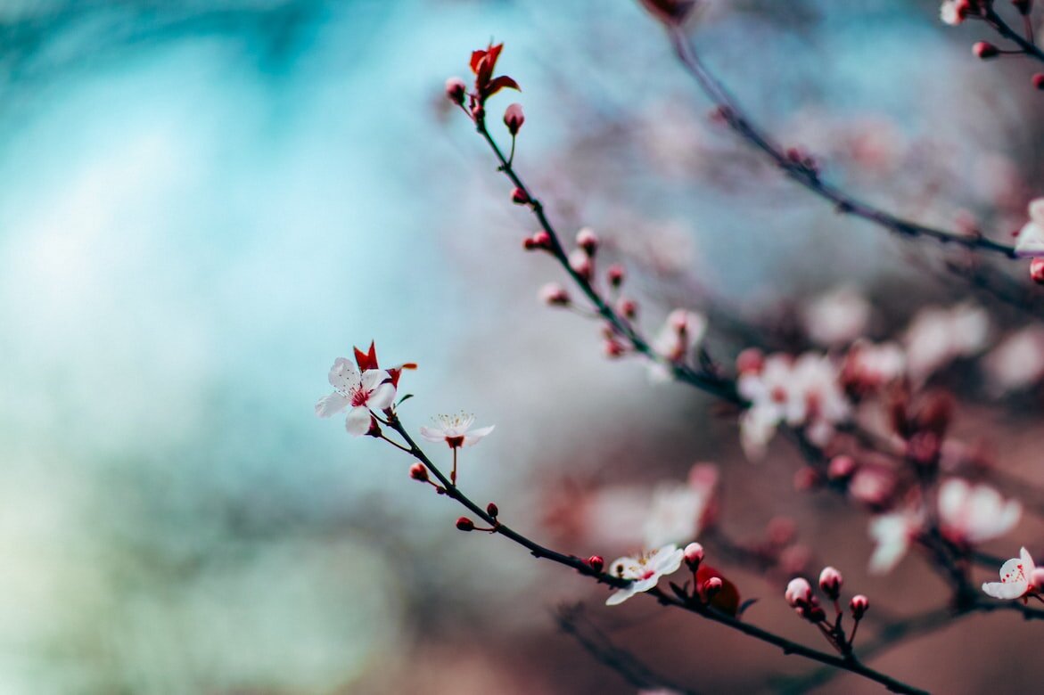 (c) Nitish Meena unsplash.com