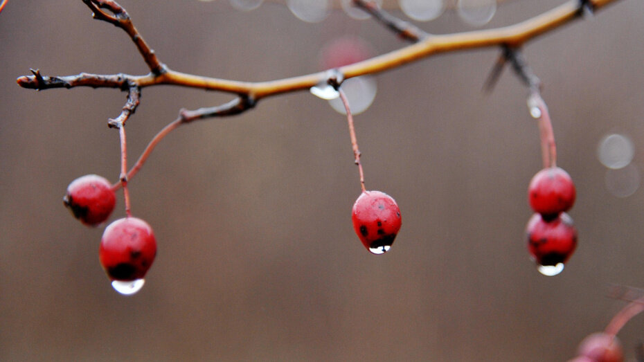    Автор фото: Андрей Архипов (из архива)