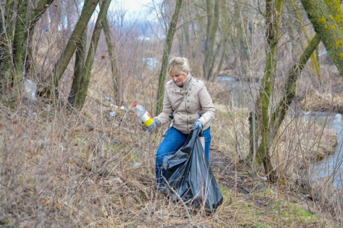    Одни мусорят, другие убирают? В Туле прошёл первый городской субботник