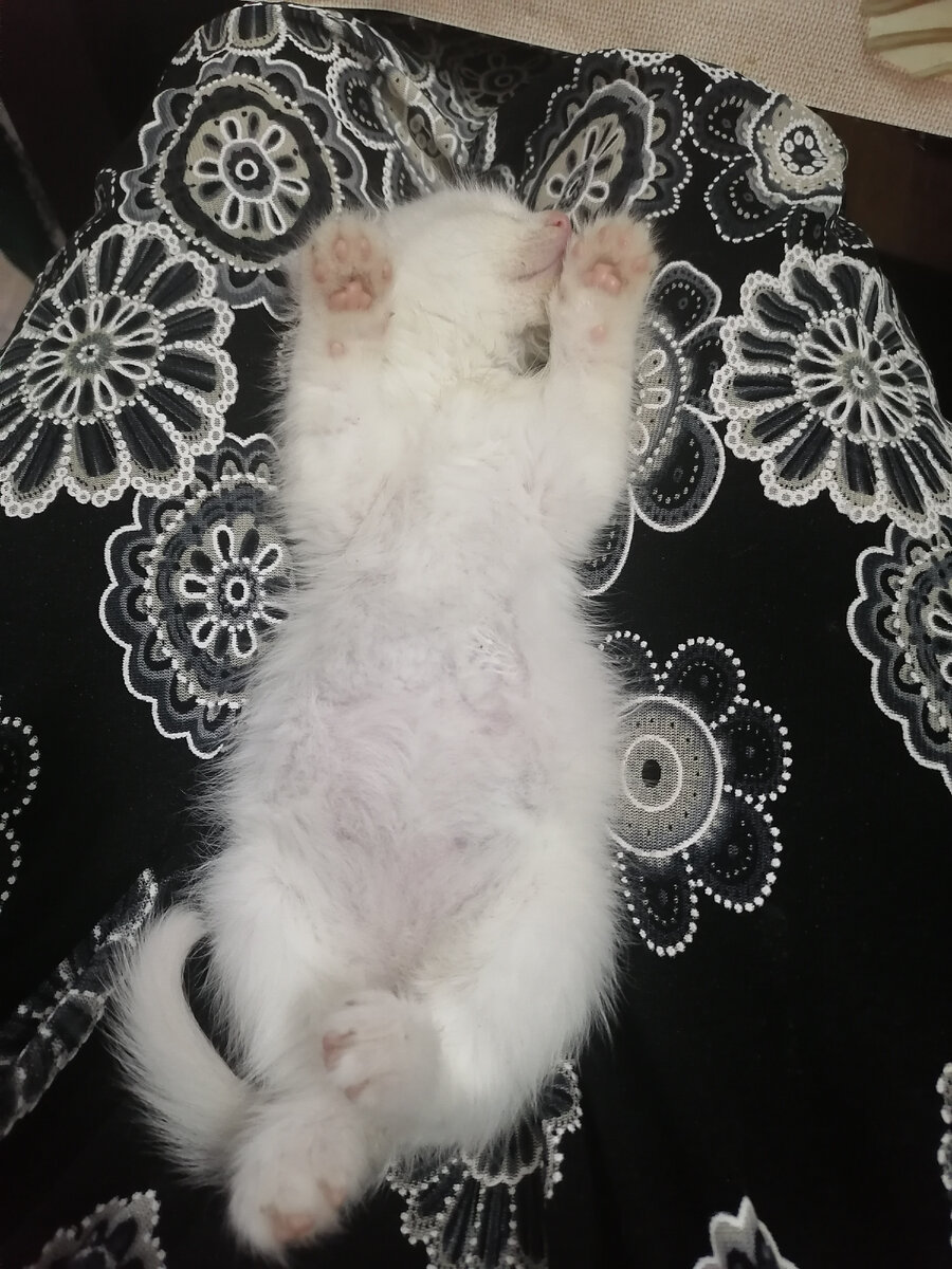 Совсем малышка