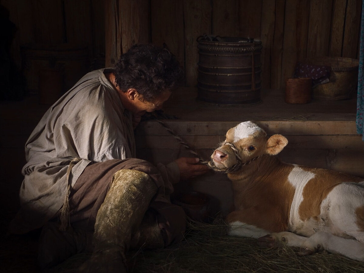 Близость к природе и животным естественна для Степана. 