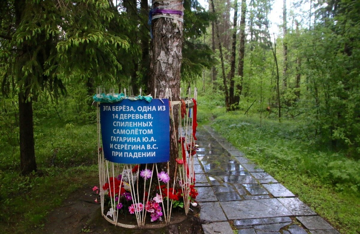 фото гибели гагарина и серегина