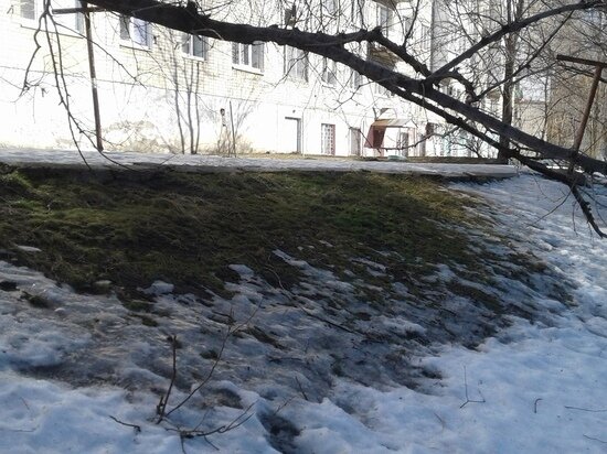     Фото: Вячеслав Коротин