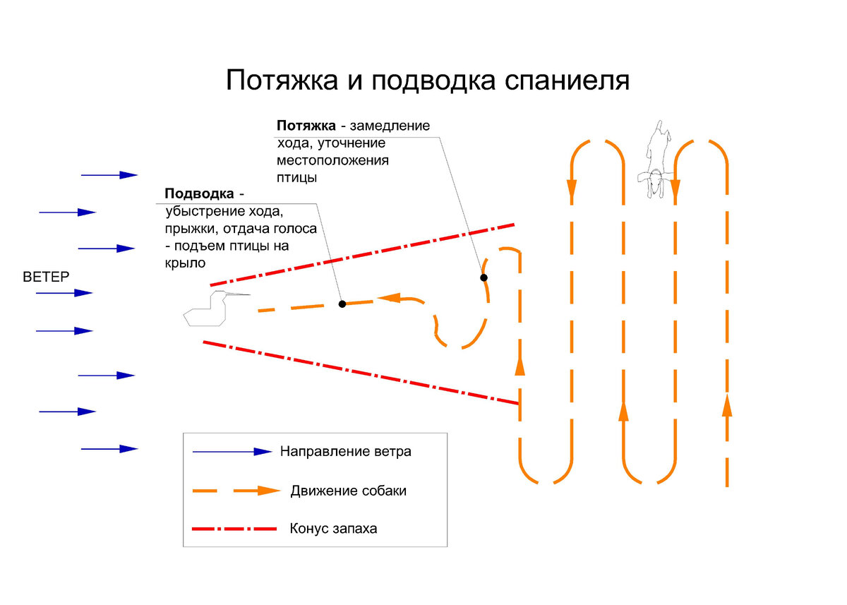 Распространение запаха одеколона в классной комнате это