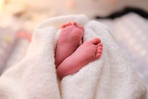    Фото: unsplash.com Ирина Моргунова