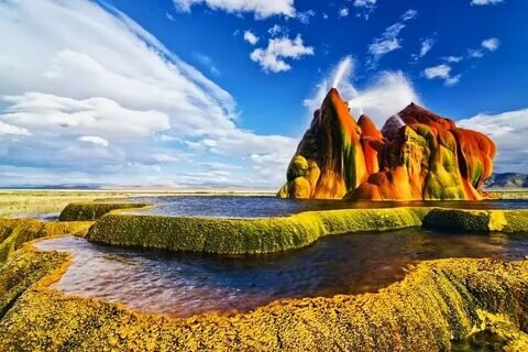 Фото с сайта: https://avatars.mds.yandex.net