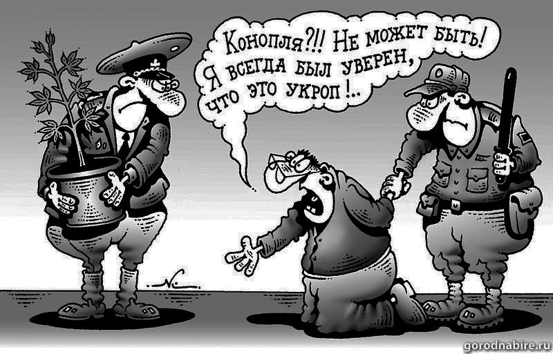 Картинка взята из публичных источников 