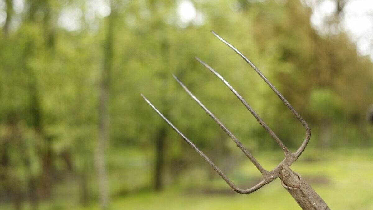     Жители села на Ставрополье выступили против сельхозпредприятия. Очередного налоговика заподозрили в превышении полномочий. Ставрополь попал в рейтинг самых благоприятных городов РФ. NewsTracker представляет обзор информационной картины дня 4 апреля.
