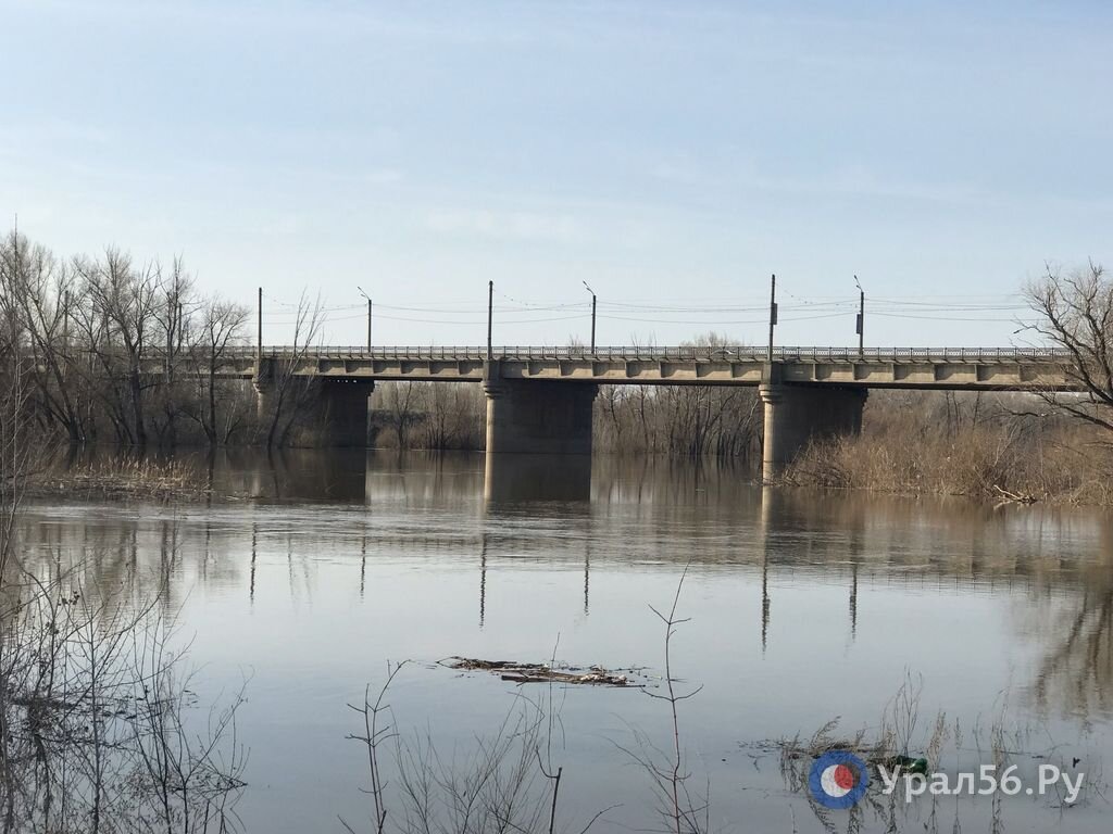 Какой уровень воды в урале в орске