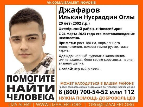     фото лизаалерт