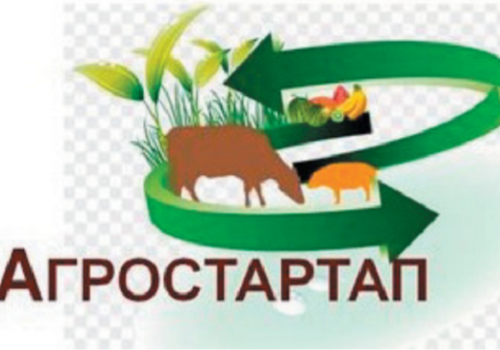 Презентация кфх на получение гранта