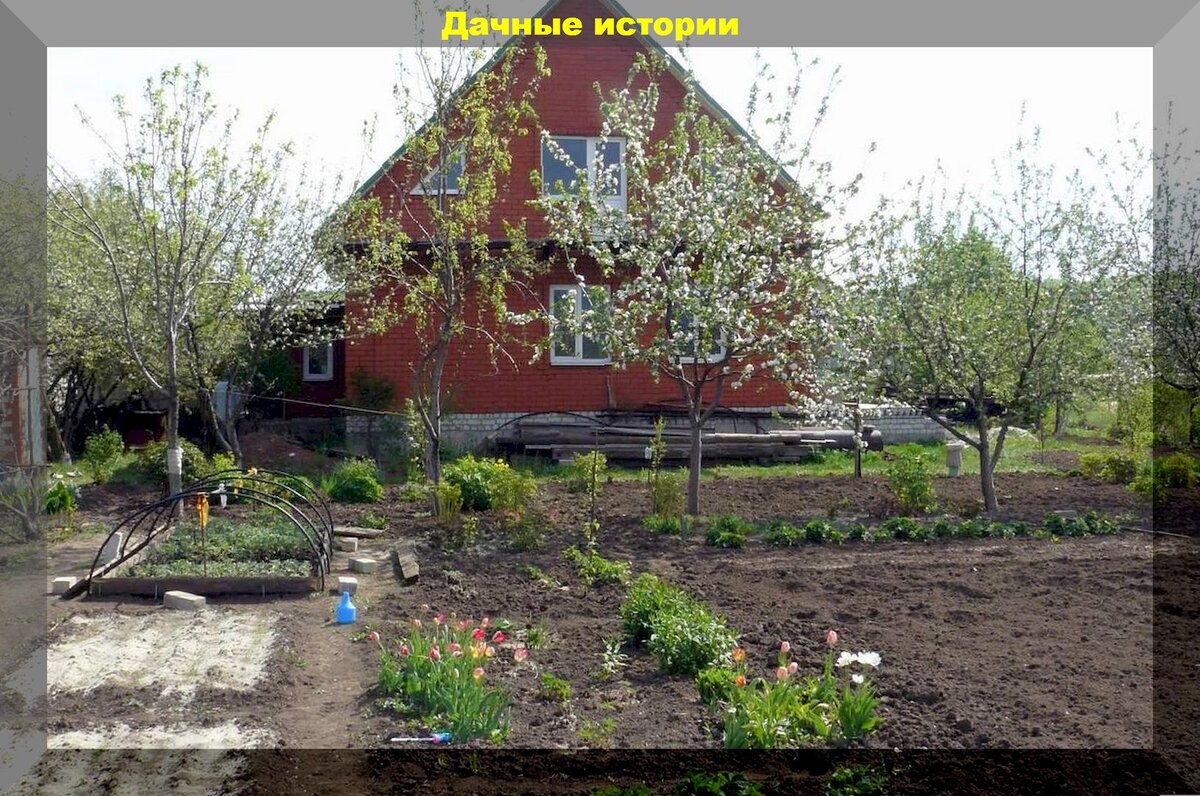 https://vk.com/photo-159774511_457260027