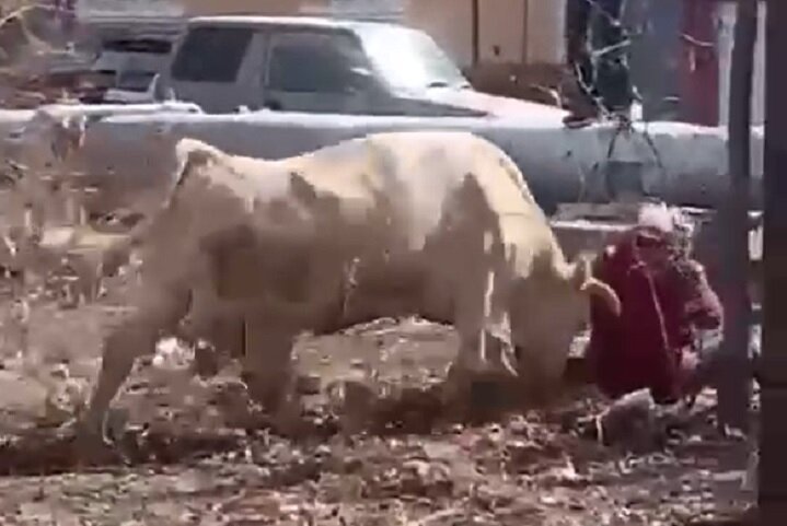 Фото: скриншот из видео