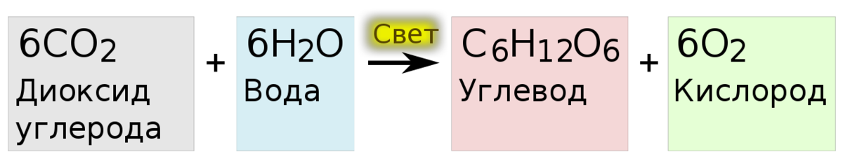 Упрощенное уравнение фотосинтеза, происходящего в растениях